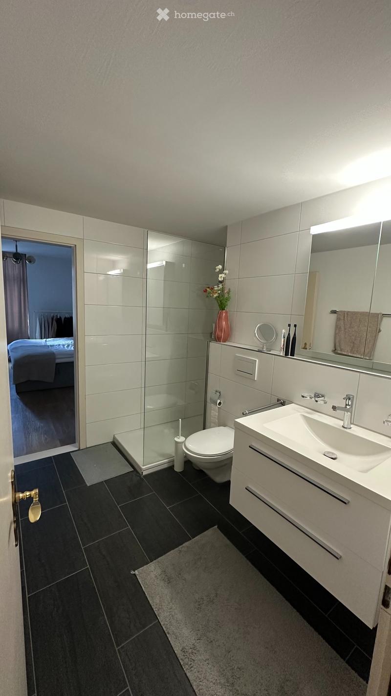 Modern bathroom with dark tiled floor, white sink, mirror, toilet, and glass-enclosed shower. Includes a vase with flowers on the sink counter and a towel on the rack.