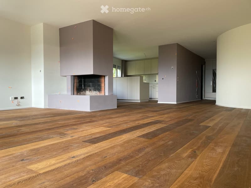 Wunderschöne Wohnung in Zürich/Höngg (1)