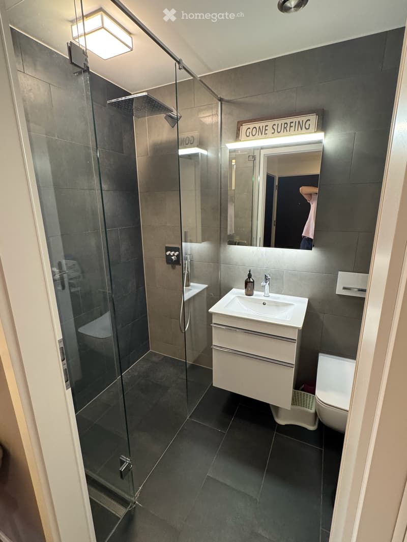 Wunderschöne Wohnung in Zürich/Höngg (14)