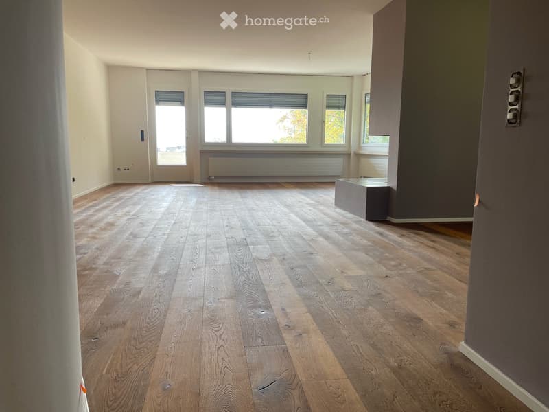 Wunderschöne Wohnung in Zürich/Höngg (2)