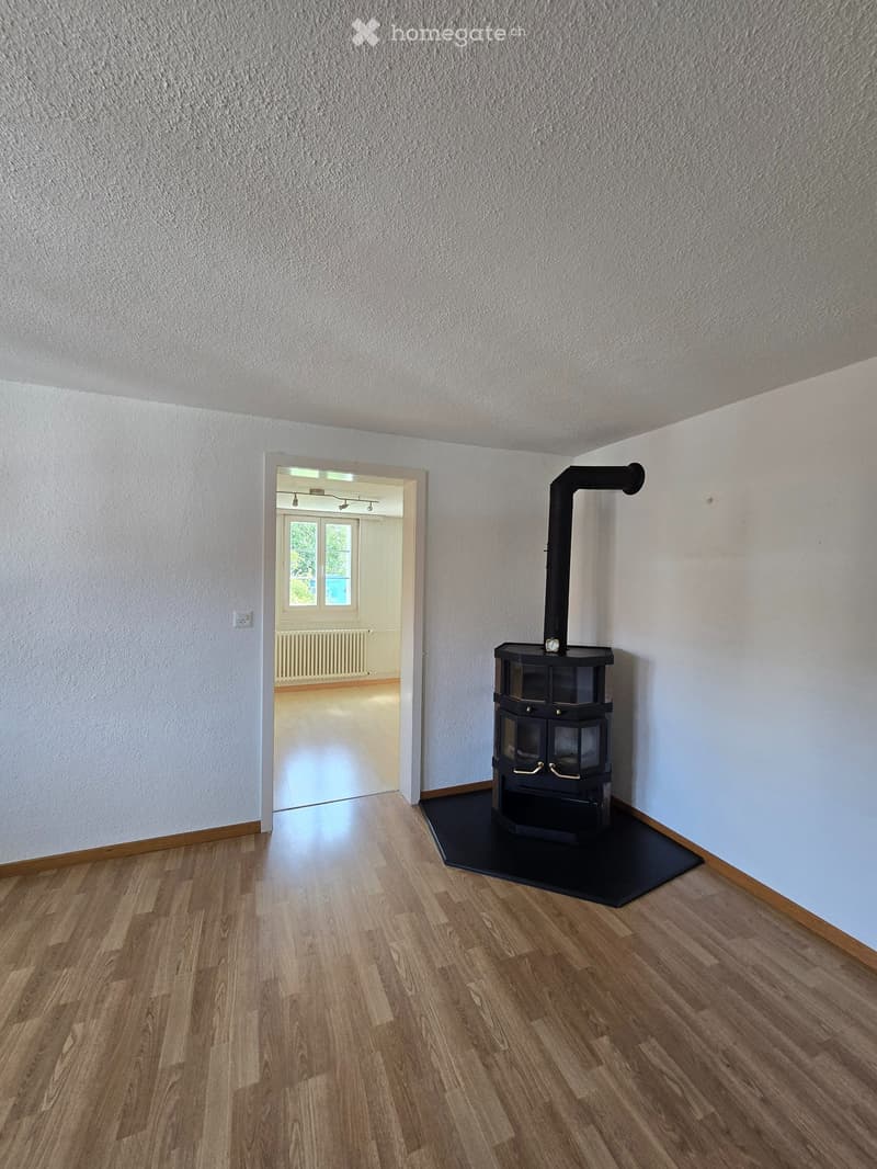 Empty room with wooden flooring, white walls, and a black wood-burning stove with a chimney. An open doorway leads to another room with a window and radiator.