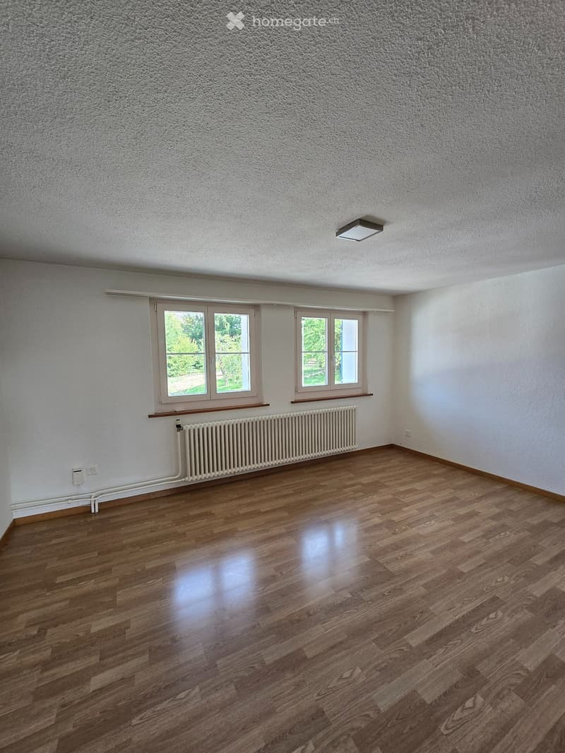 Empty room with wooden flooring, white walls, large windows, radiator, and a ceiling light fixture.
