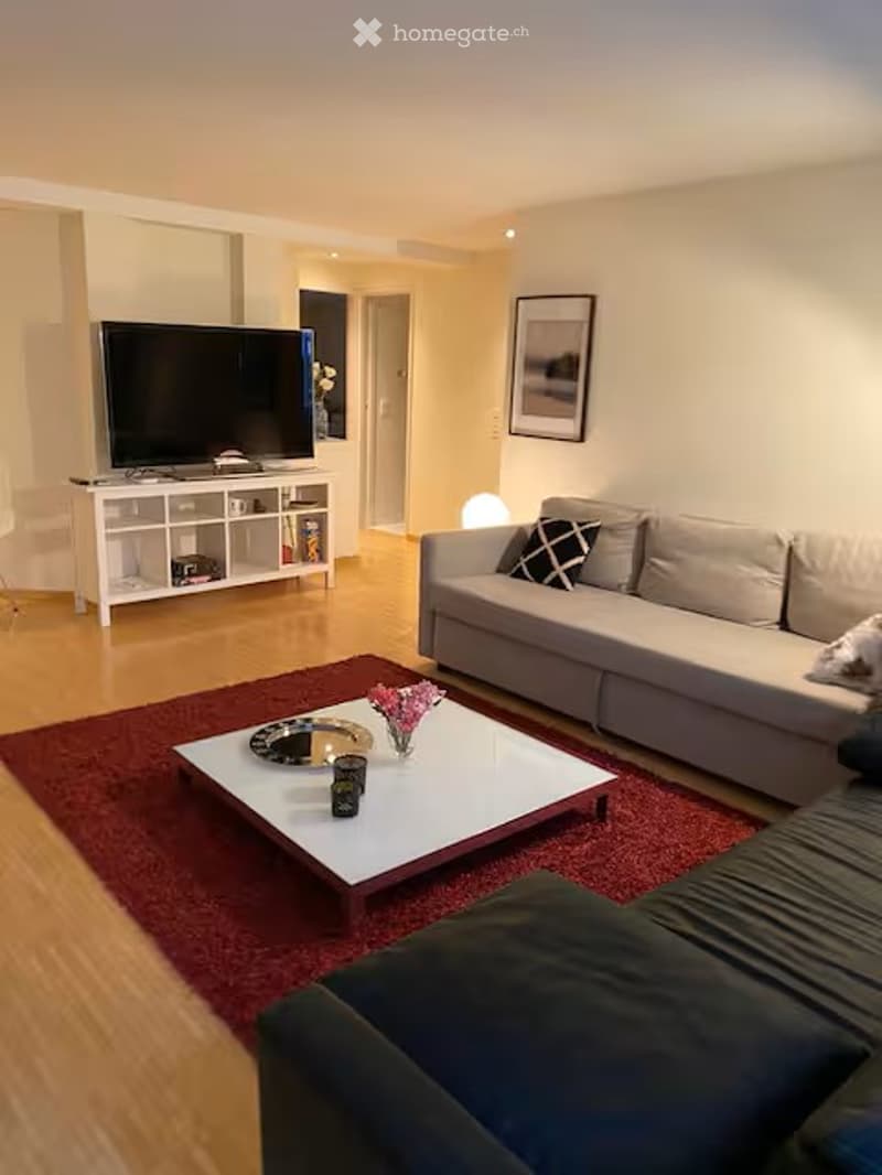 Modern living room with light grey sofa, white coffee table, TV stand, and decorative items on the floor.