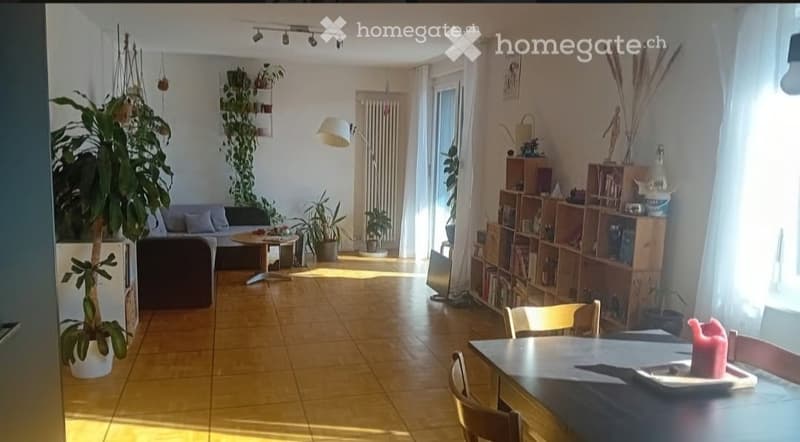 Bright living room with wooden flooring, large windows, a sofa, coffee table, dining table with chairs, bookshelf, and several potted plants.