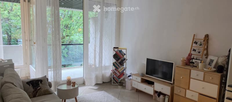 Bright living room with large windows and balcony access, featuring a sofa, coffee table, bookcase, TV, and decorative items.