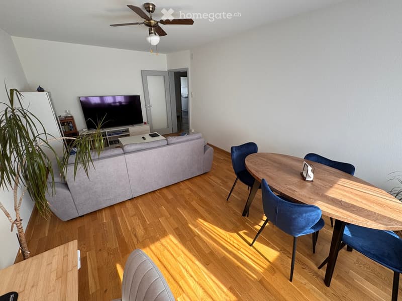 A modern living room with a grey sofa, a wooden dining table with four blue chairs, a television, and a potted plant. The room features wooden flooring and a ceiling fan with lights.