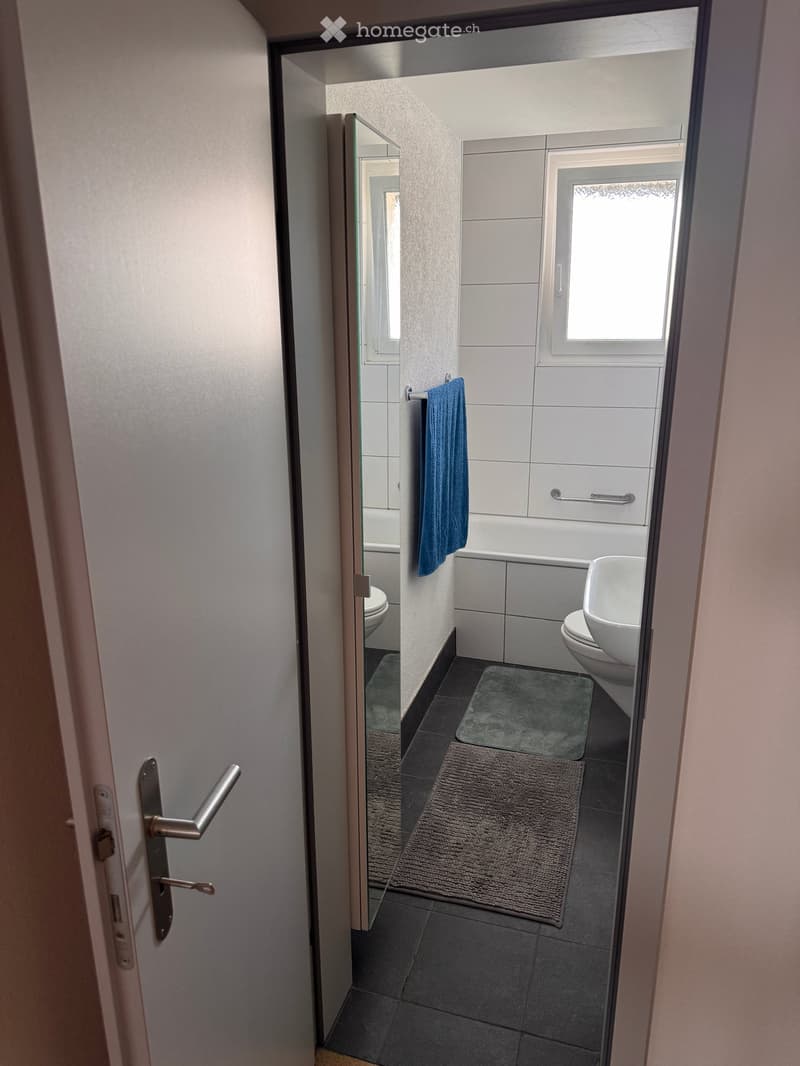 Modern bathroom with a bathtub, toilet, sink, towel, and bathmats on a dark tiled floor.