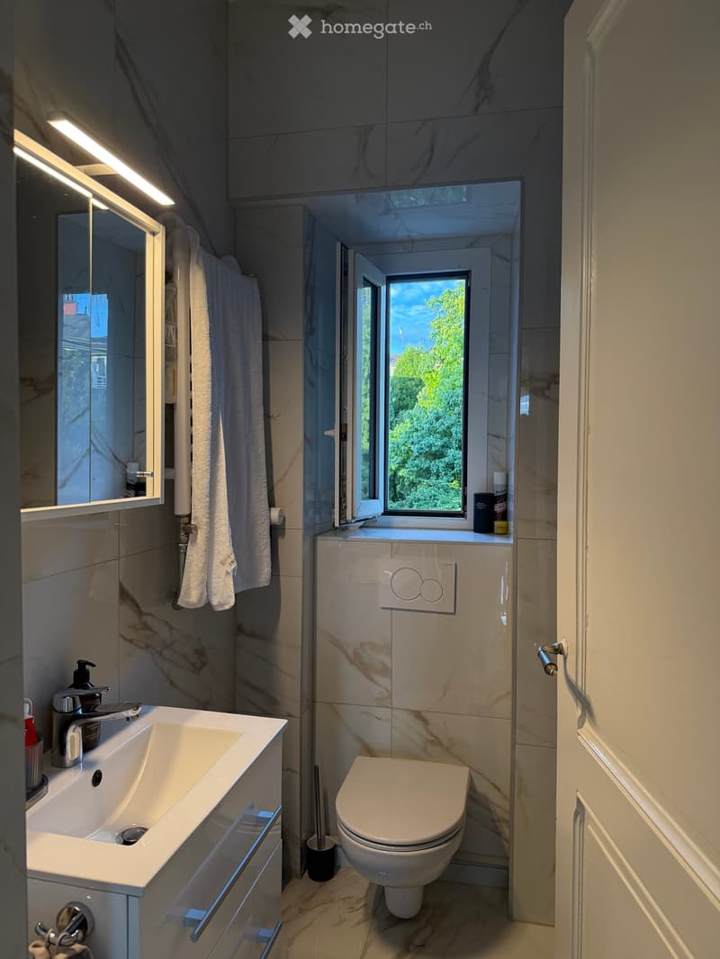 Modern bathroom with marble tiles, a sink with a faucet, a toilet, a mirror, and a towel hanging on a rack. A window with a view of greenery is visible.