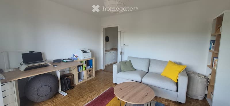 A modern, multi-functional room with a grey sofa, a wooden coffee table, a large desk with a laptop, a printer, and a bookshelf. The room features a ball chair and a floor lamp, with a view into an adjacent kitchen area.