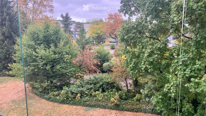 A lush garden area with dense green trees and shrubs, featuring a mix of evergreen and deciduous foliage, with a pathway visible in the background.