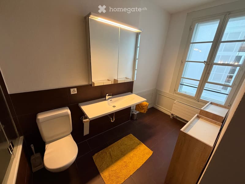 Modern bathroom with dark tiles, white toilet, sink, mirror, and a yellow rug on the floor.