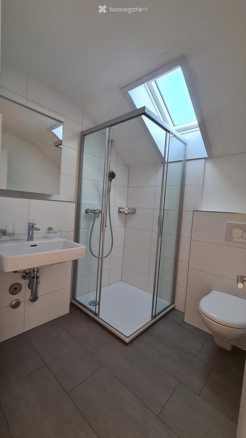 Modern bathroom with a glass-enclosed shower stall, a white sink with a mirror, and a toilet. The shower has a handheld sprayer and a built-in seat. The room features white tiles and a skylight window.