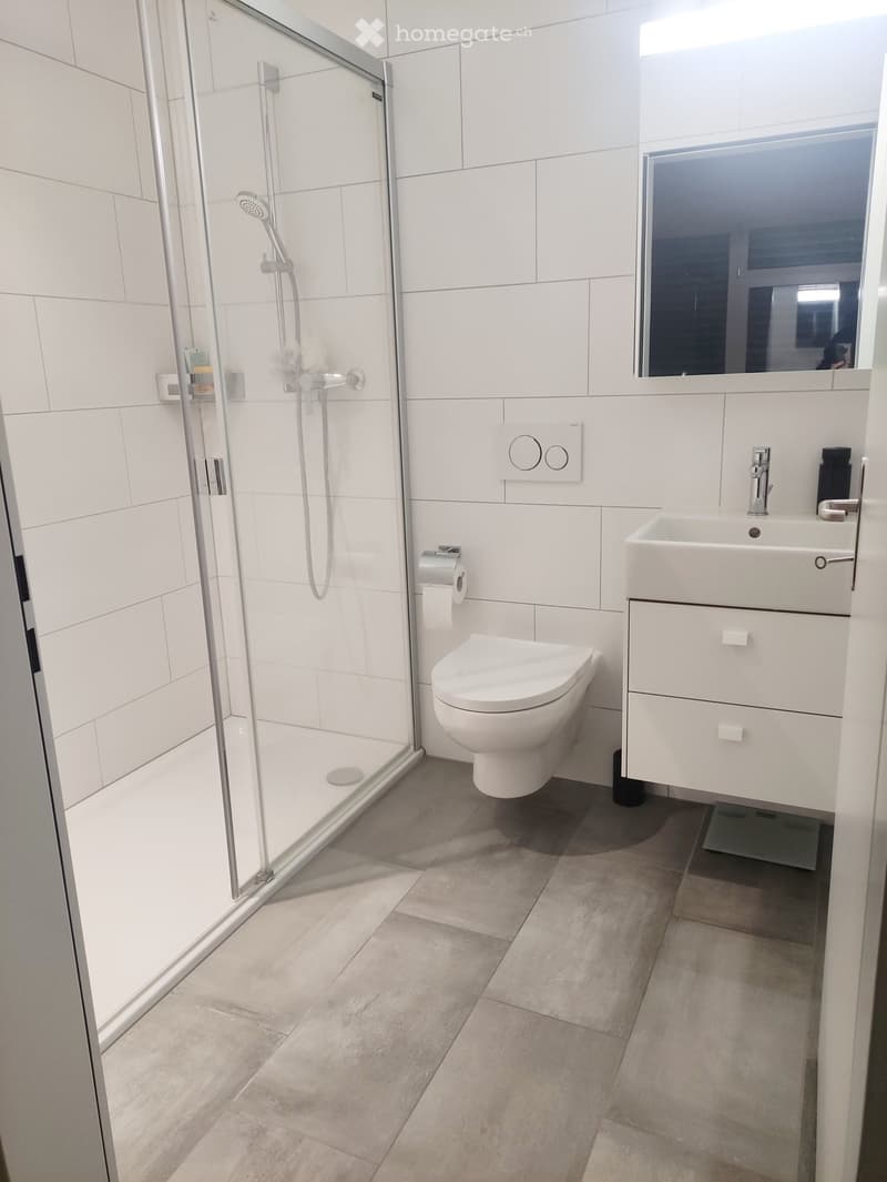 Modern bathroom with white tiles, a glass-enclosed shower, a toilet, a sink with a mirror, and a toilet paper holder.