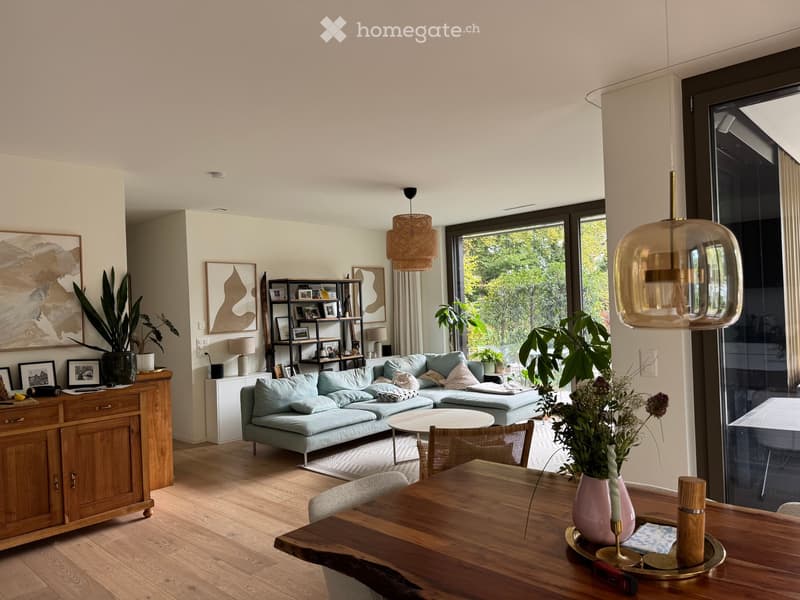 Bright living room with light blue sofa, wooden coffee table, dining table, chairs, cabinet, shelves, and decorative plants.