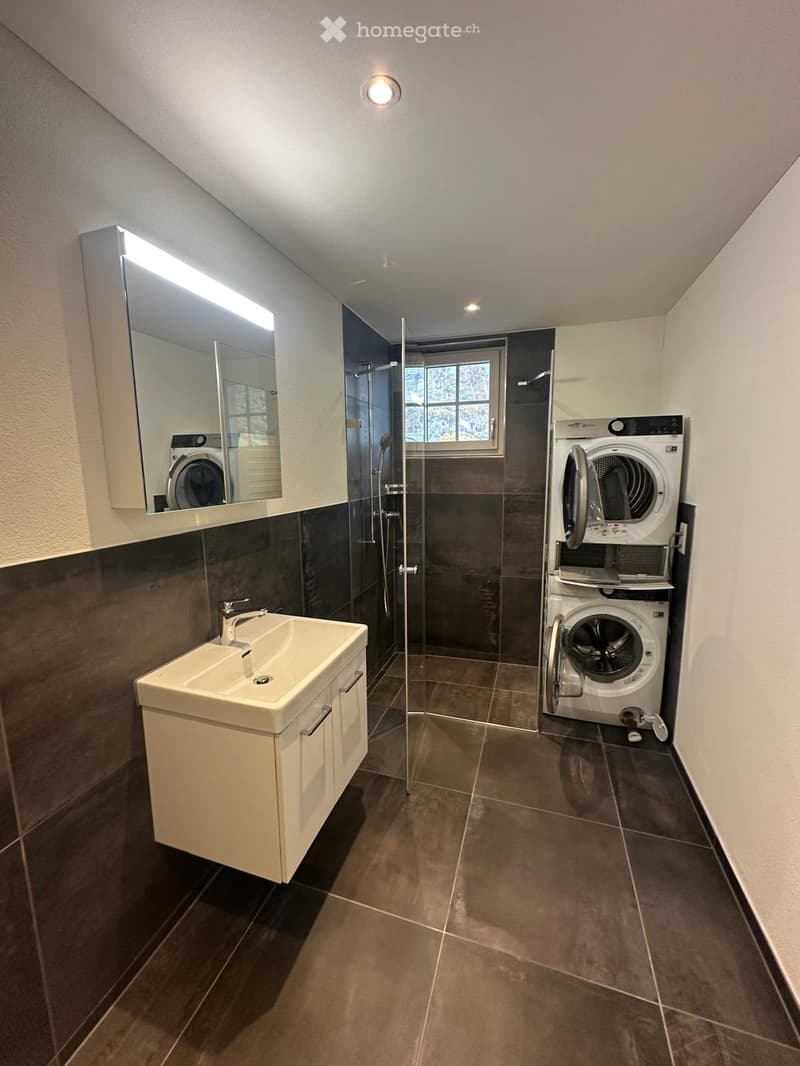Modern bathroom with a white sink, large mirror, and a washing machine/dryer unit. Features a glass-enclosed shower and dark tiled walls and floor.