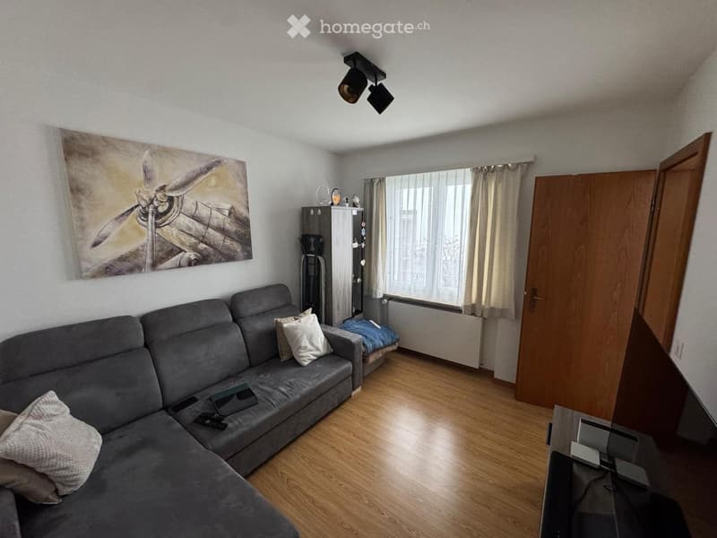 Living room: L-shaped grey couch, wooden floor, large window with curtains, wooden door, painting, cabinet, radiator, flat-screen TV.