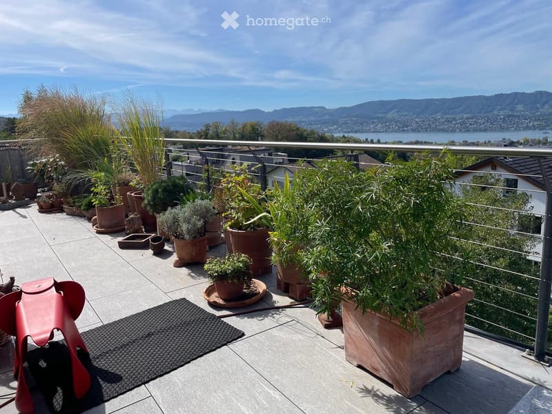 Balcony with potted plants, a red chair, and a woven mat, overlooking a scenic lake and mountains.