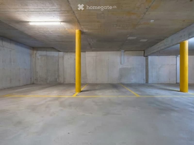 Empty underground parking area with concrete walls, floor, and ceiling, marked parking spaces, and yellow support pillars.
