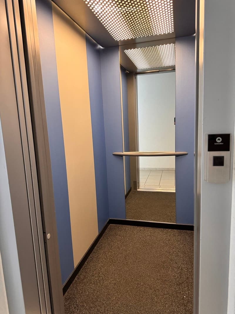 Modern hallway with carpeted floor, light blue walls, and illuminated ceiling panels. Features a metal handrail and an elevator door in the background.