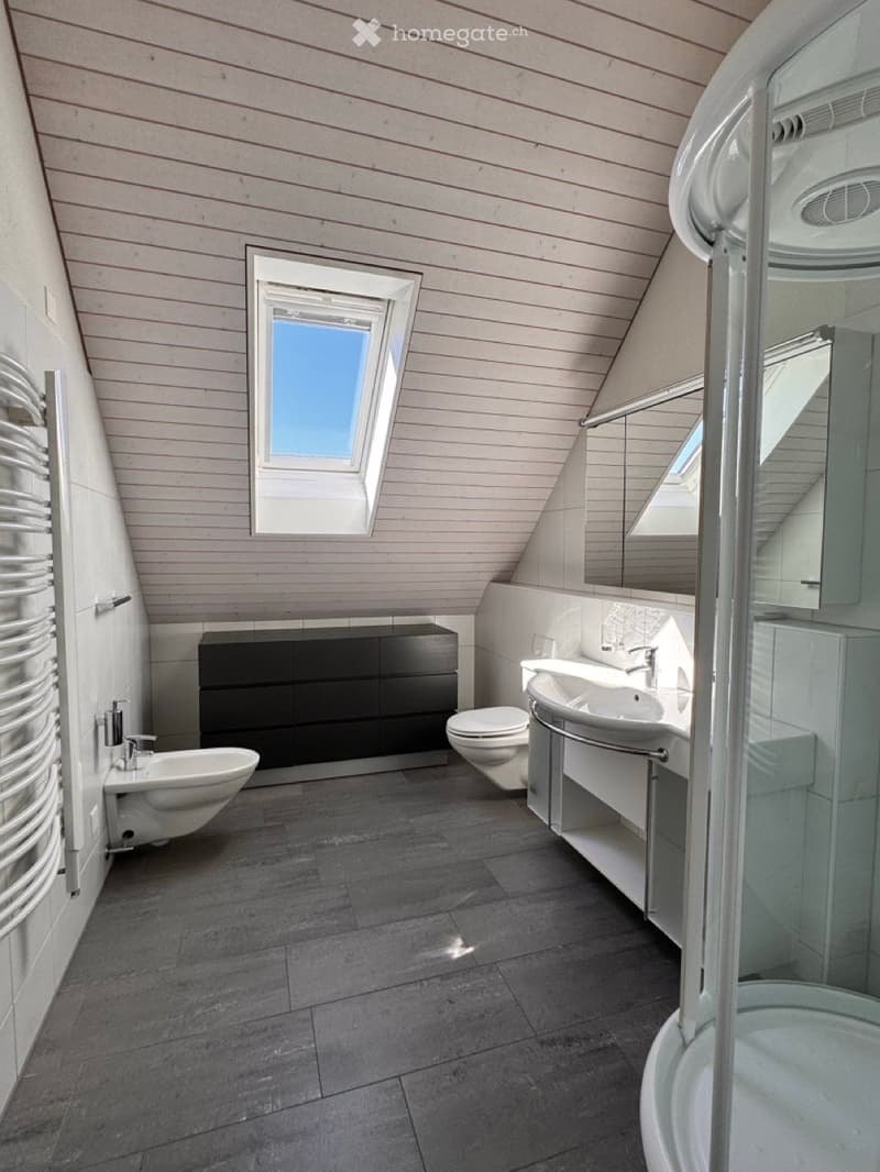 Modern bathroom with dark grey tiles, white fixtures, and a skylight window. Features a sink, toilet, shower, and a black cabinet.