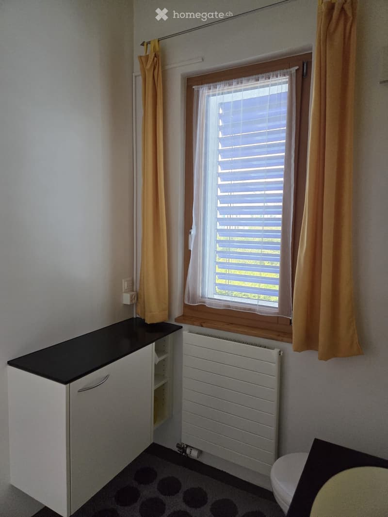 Bathroom with a window, radiator, cabinet, and toilet. Light-colored walls and curtains.
