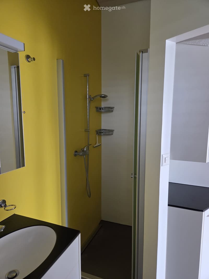Modern bathroom with yellow walls, black countertop, white sink, mirror, and a glass-enclosed shower with a handheld showerhead and built-in shelves.
