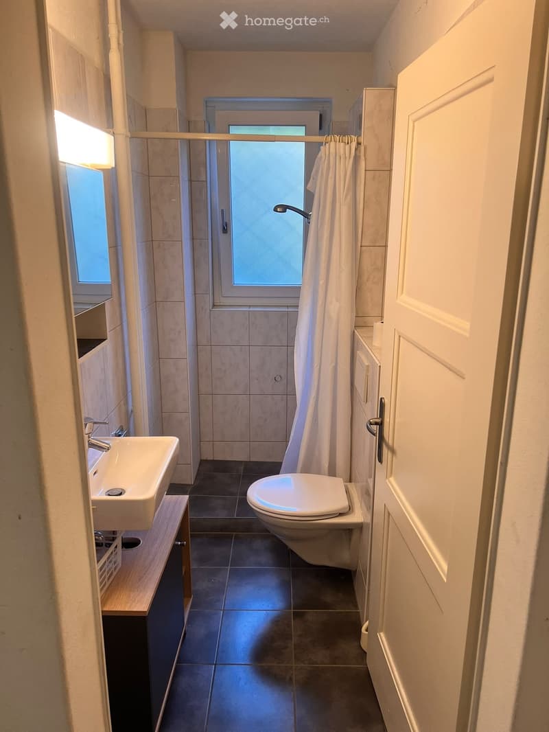 Modern bathroom with a white sink, toilet, and built-in cabinet. Features a shower area with a curtain and a window providing natural light.