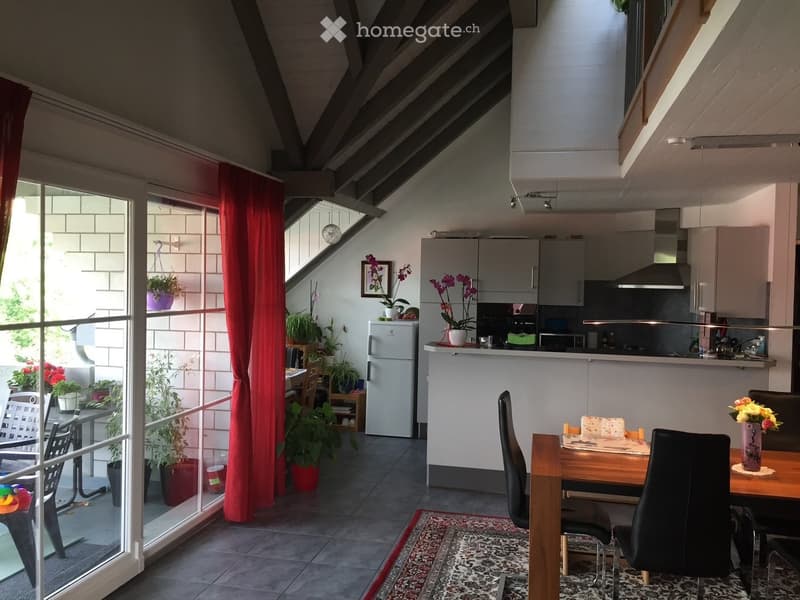 Open-plan living and dining area with a dining table, chairs, kitchen area, and potted plants. Features a large window with a red curtain and a view of a balcony with outdoor furniture.
