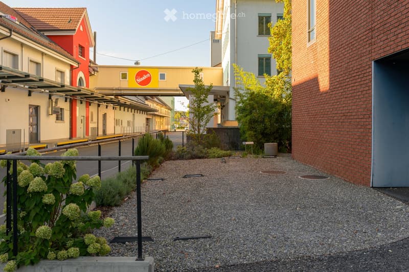 Gravel pathway lined with small plants and shrubs, bordered by a metal railing and a brick building, with a covered walkway and various buildings in the background.