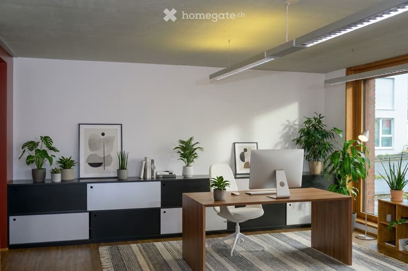 Modern office space with a wooden desk, ergonomic chair, computer setup, sleek cabinet, and decorative plants.