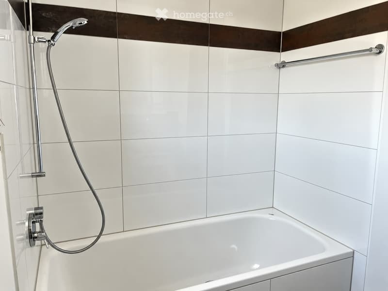 Modern bathroom with white tiled walls, a bathtub, a handheld showerhead, and a shower rail.