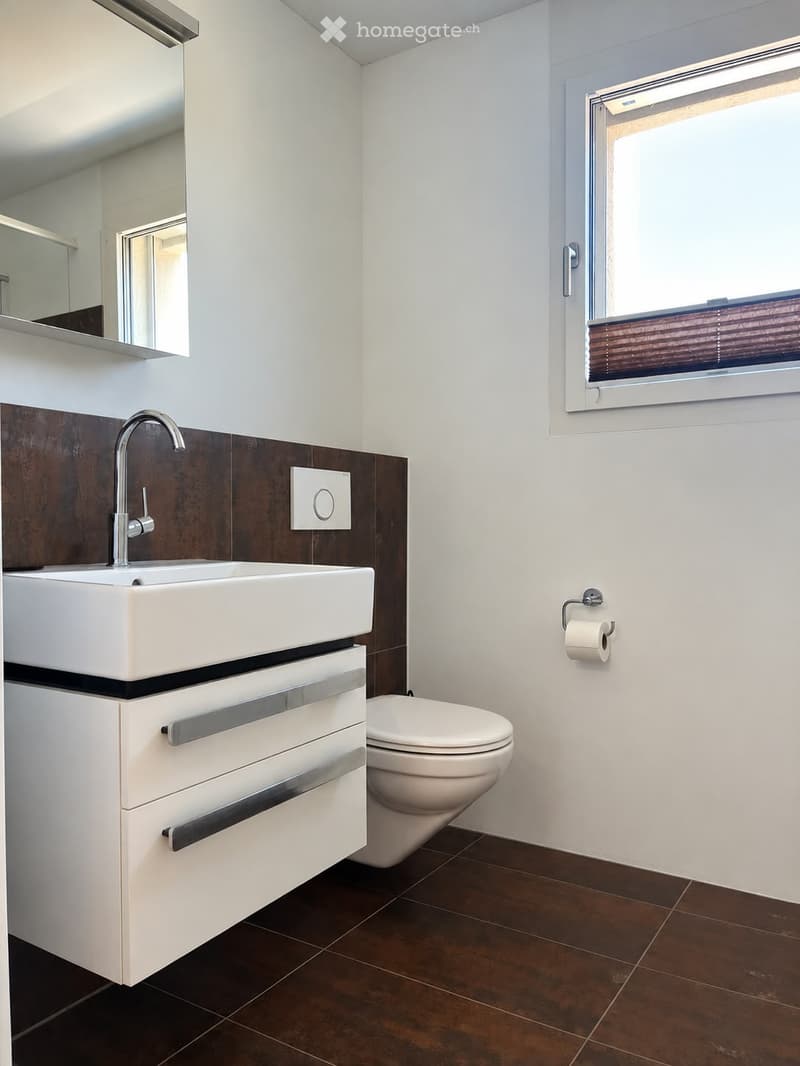 Modern bathroom with white walls, dark brown tiles, a white sink with a chrome faucet, a white toilet, and a mirrored cabinet above the sink.