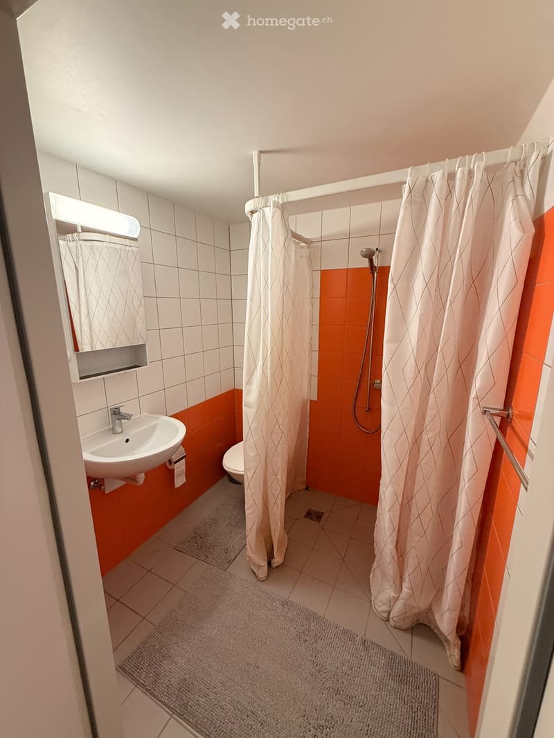 Sublet Jan–Jun 2027 – ETH Hönggerberg Campus, furnished studio, for ETH Zurich students only (3)