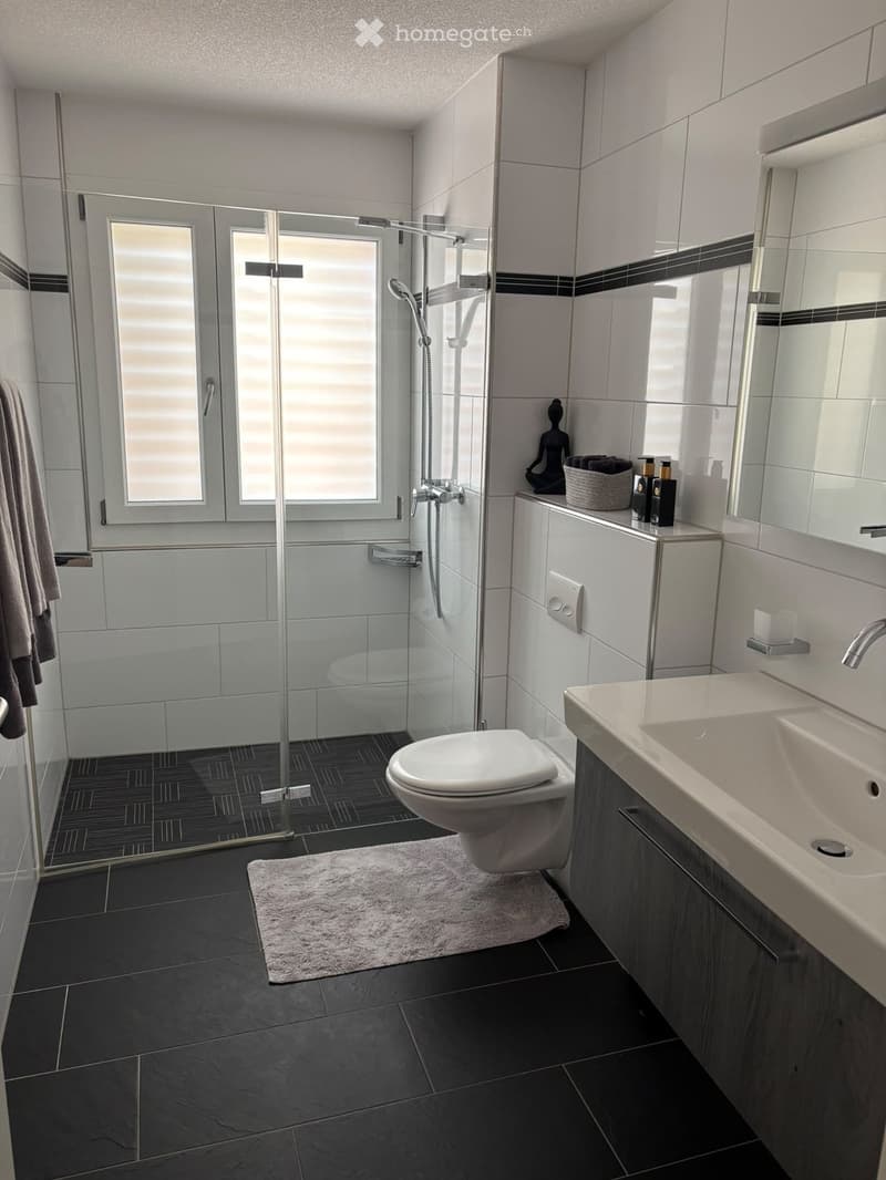 Modern bathroom with dark tiled floor, white toilet, double sink, large mirror, glass-enclosed shower, and decorative items on the cabinet.