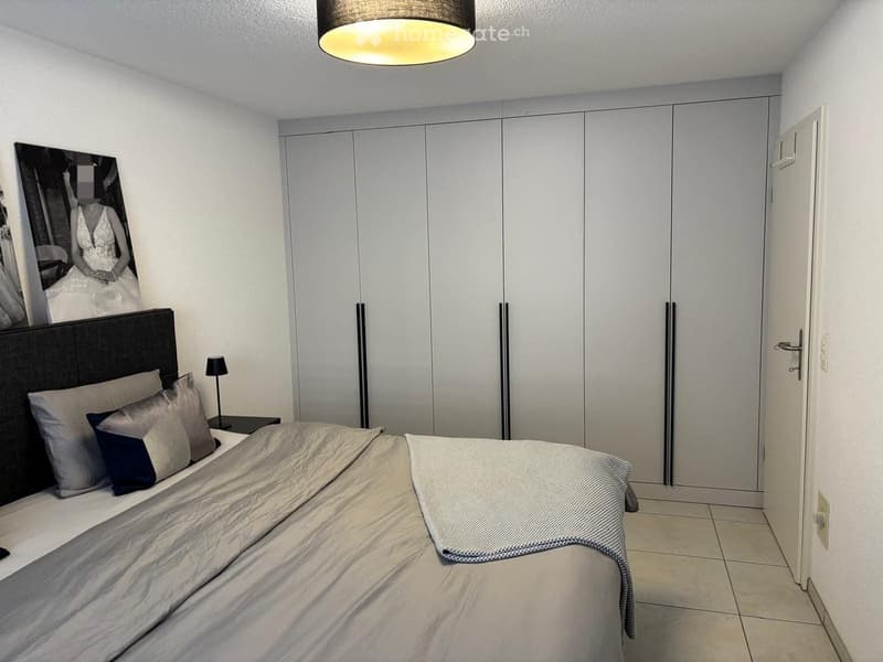 Modern bedroom with a large bed, multiple pillows, a nightstand with a lamp, a large wardrobe, and a framed picture on the wall.