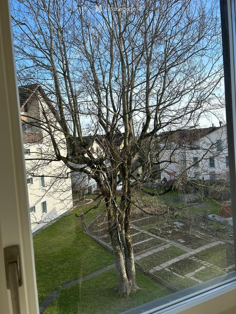 View from a window showing a garden with a large tree, grassy area, stone pathways, and neighboring houses in the background.
