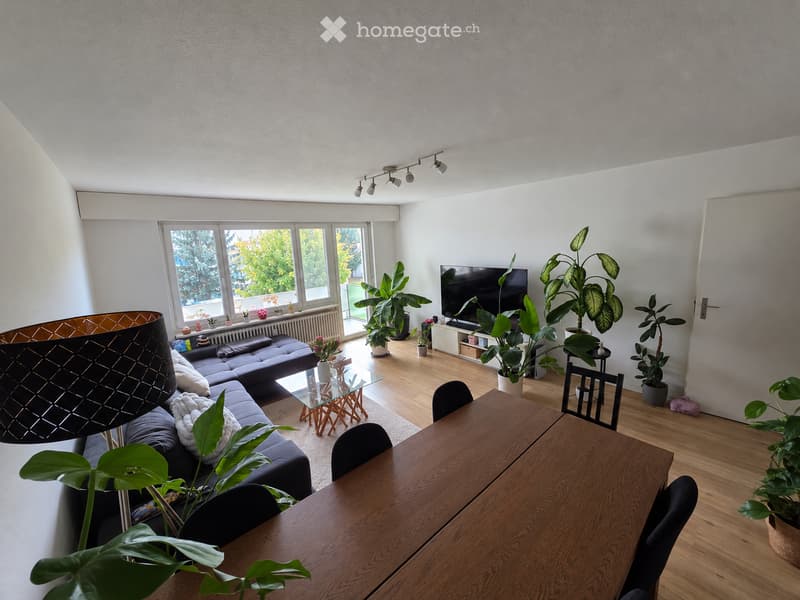 Bright living room with large windows, wooden flooring, a grey sectional sofa, a glass coffee table, a wooden dining table with chairs, a television, and several potted plants.