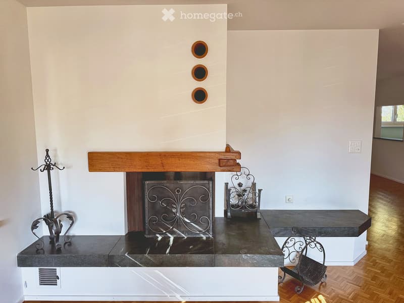 Modern living room with a sleek fireplace featuring a wooden mantel and decorative metal screen. Ornate metal candle holders flank the fireplace on a dark stone hearth.