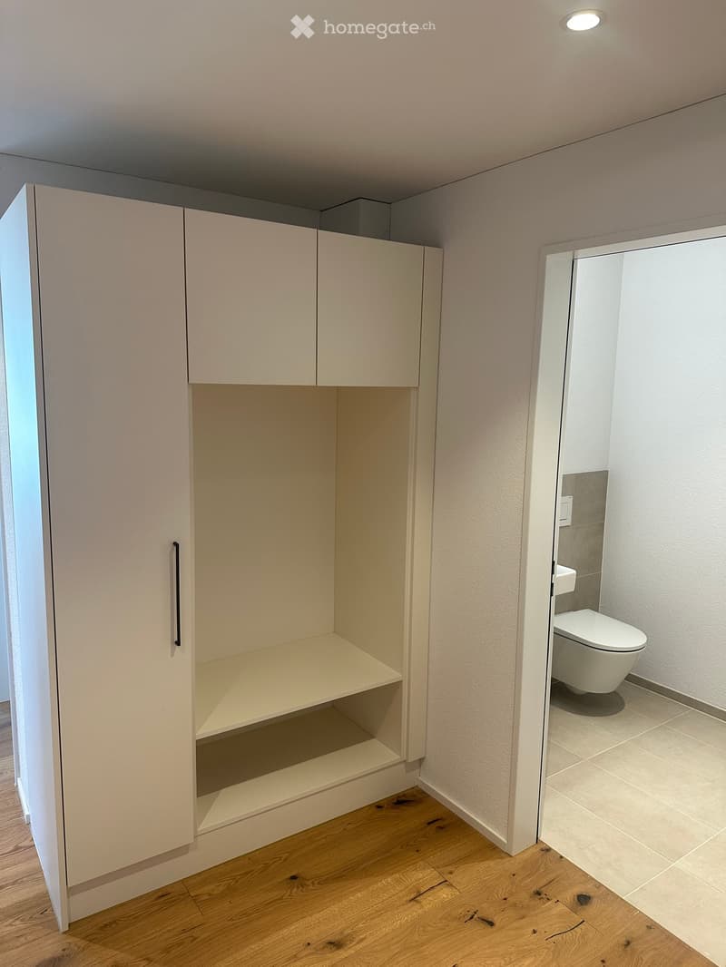 Modern bathroom with a white toilet, built-in cabinet with shelves, and wooden flooring.