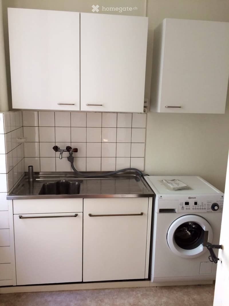 modern, stainless steel kitchen with white cabinets, sink, washing machine