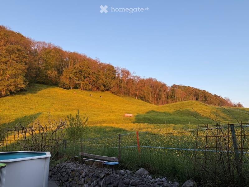 A fenced garden area with a swimming pool, stone border, and a grassy hill with grazing animals in the background.
