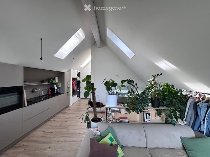 Open-plan living and sleeping area with a grey sofa, coffee table, potted plants, kitchen area with cabinets, oven, sink, and a bed with bedding.