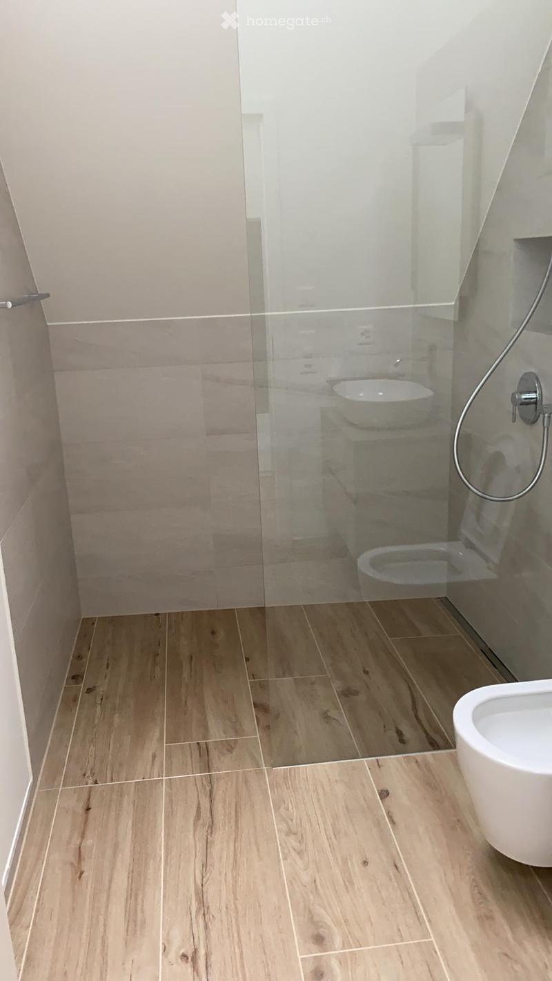 Bathroom with wooden flooring, glass shower enclosure, toilet, and modern fixtures.