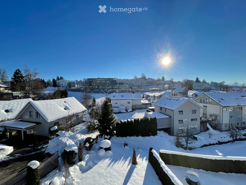 A residential neighborhood with multiple houses covered in snow, surrounded by trees and a clear blue sky with the sun shining brightly.