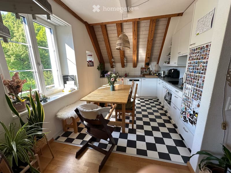 Cozy 3.5-Room apartment with open studio in Wädenswil (1)