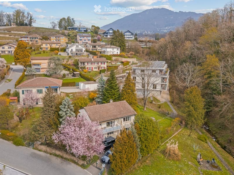 Aerial view of a residential neighborhood with multiple houses, trees, and a mountainous backdrop.