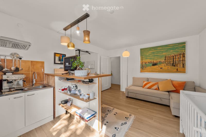 {"type": "Furnished Room", "objects": ["sofa", "coffee table", "kitchen island", "fridge", "sink", "faucet", "fridge", "oven", "pendant lights", "table lamp", "screen", "plant", "cupboard", "cup", "bottle", "fridge", "oven", "faucet", "sink", "cupboard",