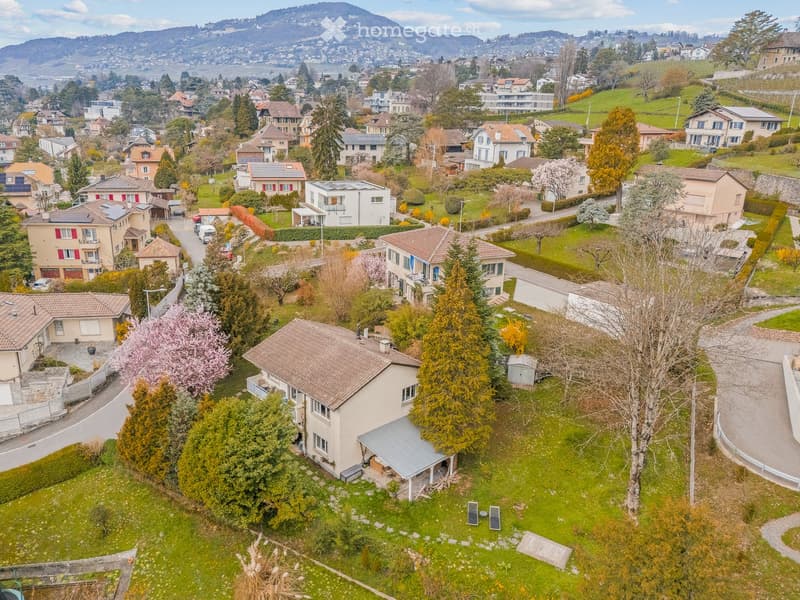 Aerial view of a suburban neighborhood with multiple houses, green lawns, trees, and a scenic mountain backdrop.