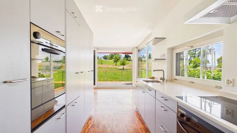 Bright, modern kitchen with white cabinets, stainless steel appliances, and large windows offering a view of a green outdoor area.