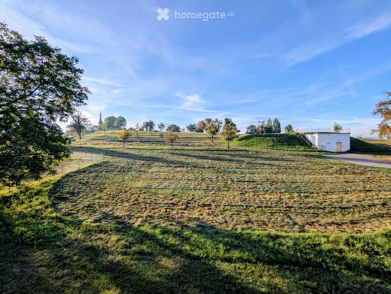 Open grassy field with scattered trees, a small white building on a raised mound, and a distant church spire visible in the background.